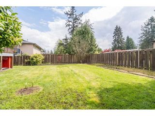 Photo 29: 22908 123RD Avenue in Maple Ridge: East Central House for sale : MLS®# R2571429