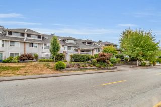 Photo 35: 210 11578 225 Street in Maple Ridge: East Central Condo for sale in "The Willows" : MLS®# R2809428