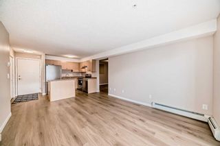 Photo 18: 209 1717 60 Street SE in Calgary: Red Carpet Apartment for sale : MLS®# A2133379