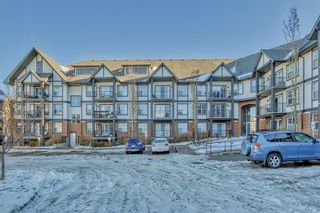 Photo 46: 212 250 New Brighton Villas SE in Calgary: New Brighton Apartment for sale : MLS®# A2013280