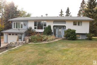 Photo 31: 4701 22 Street: Rural Wetaskiwin County House for sale : MLS®# E4315509