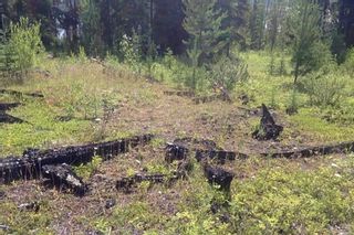 Photo 31: LOT 21 BRAYANSTON Drive in Smithers: South Francois Land for sale (Burns Lake)  : MLS®# R2710049