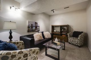 Photo 19: 43 Doverdale Mews SE in Calgary: Dover Row/Townhouse for sale : MLS®# A1052608