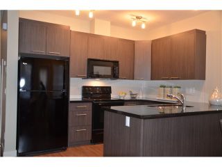 Photo 6: 128 300 MARINA Drive W in : Chestermere Townhouse for sale : MLS®# C3581362
