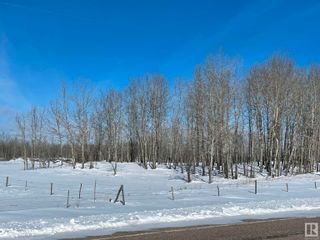 Photo 7: 225000 Hwy 661: Rural Athabasca County Rural Land/Vacant Lot for sale : MLS®# E4281023