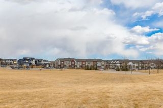 Photo 31: 1304 99 Copperstone Park SE in Calgary: Copperfield Apartment for sale : MLS®# A1203986