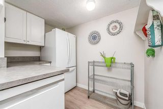 Photo 9: 27B 231 Heritage Drive SE in Calgary: Acadia Apartment for sale : MLS®# A2077886