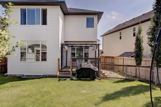 Photo 38: 40 BRIGHTONCREST Manor SE in Calgary: New Brighton Detached for sale : MLS®# A1016747