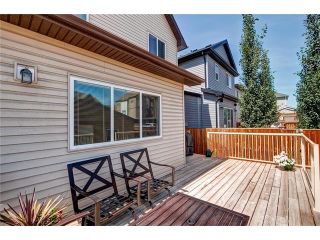 Photo 47: 151 COPPERPOND Square SE in Calgary: Copperfield House for sale : MLS®# C4074409