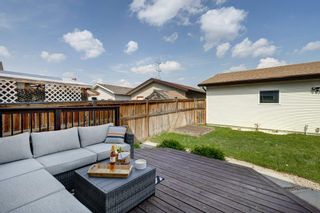 Photo 25: 118 Cranberry Close SE in Calgary: Cranston Detached for sale : MLS®# A2050518