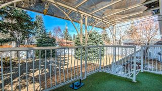 Photo 38: 5908 Dalkeith Hill NW in Calgary: Dalhousie Detached for sale : MLS®# A2019526