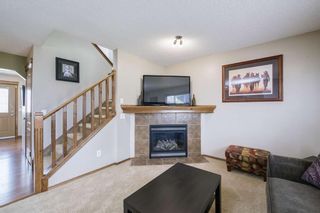 Photo 19: 234 ELGIN View SE in Calgary: McKenzie Towne Detached for sale : MLS®# A1035029