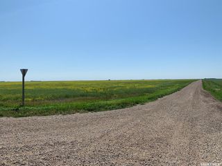 Photo 5: McNally Acreage in Sherwood: Lot/Land for sale (Sherwood Rm No. 159)  : MLS®# SK881437