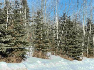 Photo 27: 231 Rge Rd, 624 Twp Rd: Rural Athabasca County Rural Land/Vacant Lot for sale : MLS®# E4281157