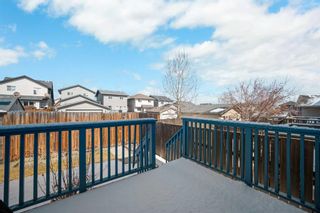 Photo 29: 33 Panora Hill NW in Calgary: Panorama Hills Detached for sale : MLS®# A2124569