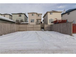 Photo 24: 52 TARINGTON Green NE in Calgary: Taradale House for sale : MLS®# C4046815