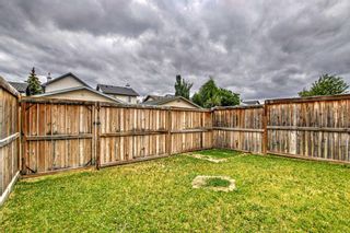 Photo 29: 195 Cranberry Green SE in Calgary: Cranston Semi Detached (Half Duplex) for sale : MLS®# A2057368