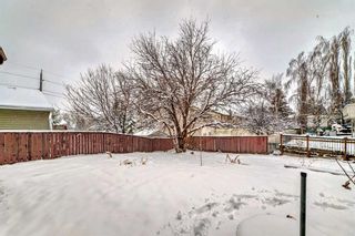Photo 32: 7 Hawksley Crescent NW in Calgary: Hawkwood Detached for sale : MLS®# A2120634