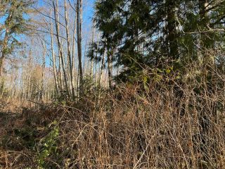 Photo 10: Lot 23 CHARMAN Road in Gibsons: Gibsons & Area Land for sale (Sunshine Coast)  : MLS®# R2760755