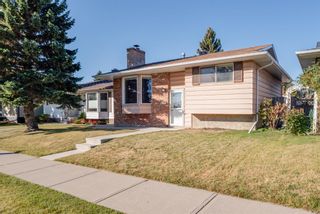 Photo 37: 3719 28 Street SE in Calgary: Dover Detached for sale : MLS®# A1040737