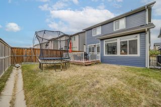Photo 31: 167 Skyview Shores Crescent NE in Calgary: Skyview Ranch Detached for sale : MLS®# A2019286