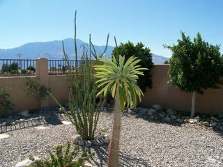Photo 29: 65055 N Mesa Avenue in Desert Hot Springs: Residential for sale (340 - Desert Hot Springs)  : MLS®# 219009657DA