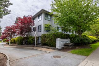 Main Photo: 202 15272 20 Avenue in Surrey: King George Corridor Condo for sale in "WINDSOR COURT" (South Surrey White Rock)  : MLS®# R2883666