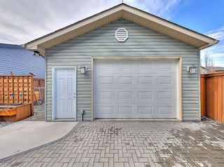 Photo 30: 93 Elgin Meadows Circle SE in Calgary: McKenzie Towne Detached for sale : MLS®# A1199353