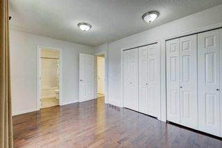 Photo 15: 4912 44 Avenue NE in Calgary: Whitehorn Semi Detached (Half Duplex) for sale : MLS®# A2131109
