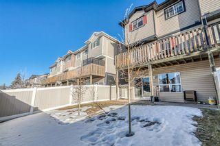 Photo 38: 53 Royal Birch Mount NW in Calgary: Royal Oak Row/Townhouse for sale : MLS®# A2019963