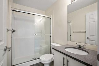 Photo 21: 3305 99 copperstone Park SE in Calgary: Copperfield Apartment for sale : MLS®# A2116740