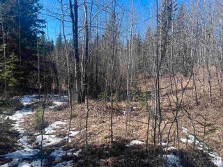 Photo 12: 4-23-63-17 SE: Rural Athabasca County Vacant Lot/Land for sale : MLS®# E4383613
