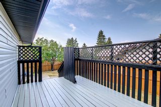 Photo 15: 143 Edgehill Place in Calgary: Edgemont Detached for sale : MLS®# A1253229