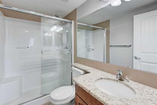 Photo 20: 2308 115 Prestwick Villas SE in Calgary: McKenzie Towne Apartment for sale : MLS®# A2137881