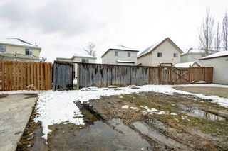 Photo 25: 40 Copperfield Heights SE in Calgary: Copperfield Detached for sale : MLS®# A2123817
