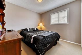 Photo 21: 14 Evansbrooke Terrace NW in Calgary: Evanston Detached for sale : MLS®# A1189740