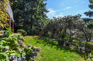 Photo 57: 1115 Evergreen Ave in Courtenay: CV Courtenay East House for sale (Comox Valley)  : MLS®# 885875