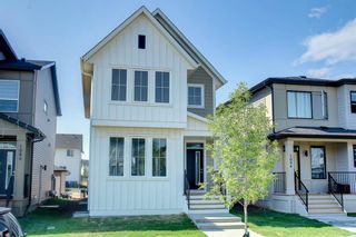 Main Photo: 1090 Copperfield Boulevard SE in Calgary: Copperfield Detached for sale : MLS®# A1245036