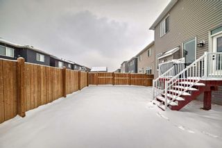 Photo 39: 91 Carrington Crescent NW in Calgary: Carrington Detached for sale : MLS®# A2120686