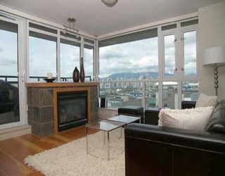 Photo 1: 409 2515 ONTARIO ST in Vancouver: Mount Pleasant VW Condo for sale in "ELEMENTS" (Vancouver West)  : MLS®# V586651