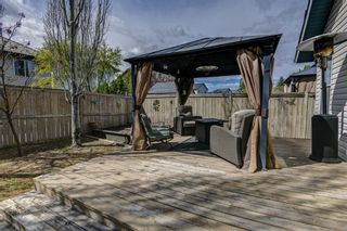 Photo 32: 39 Mt. Apex Crescent SE in Calgary: McKenzie Lake Detached for sale : MLS®# A1220343