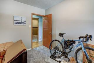 Photo 31: 2115 Mackay Road NW in Calgary: Montgomery Detached for sale : MLS®# A2017111