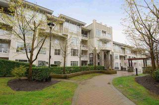 Photo 1: 312 3625 WINDCREST Drive in North Vancouver: Roche Point Condo for sale in "Windsong at Ravenwoods" : MLS®# R2127596
