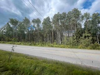 Photo 4: LOT 16 HUDSON BAY MOUNTAIN Road in Smithers: Smithers - Rural Land for sale (Smithers And Area)  : MLS®# R2810051