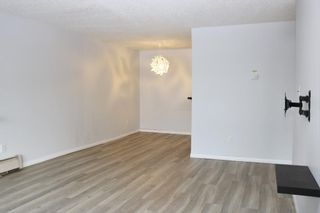 Photo 4: 329 820 89 Avenue SW in Calgary: Haysboro Apartment for sale : MLS®# A2037969
