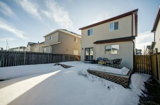 Photo 26: 44 Bridlecrest Street SW in Calgary: Bridlewood Detached for sale : MLS®# A1186403