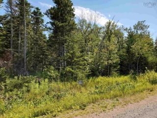 Photo 3: Lot 12 Fundy Bay Drive in Victoria Harbour: 404-Kings County Vacant Land for sale (Annapolis Valley)  : MLS®# 202119692