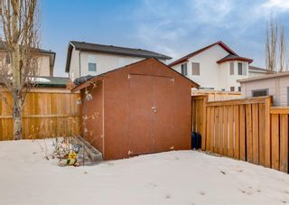 Photo 45: 208 Douglas Ridge Close SE in Calgary: Douglasdale/Glen Detached for sale : MLS®# A1080403