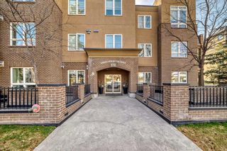 Photo 3: 308 518 33 Street NW in Calgary: Parkdale Apartment for sale : MLS®# A2121555