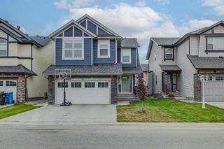 Photo 1: 167 Skyview Shores Crescent NE in Calgary: Skyview Ranch Detached for sale : MLS®# A2019286